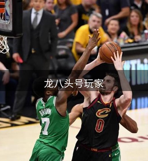 龙八头号玩家简介